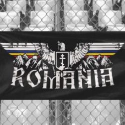 Steag ROMÂNIA