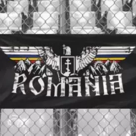 Steag ROMÂNIA