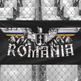 Steag ROMÂNIA