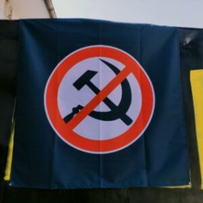 Steag Logo Anticomunist