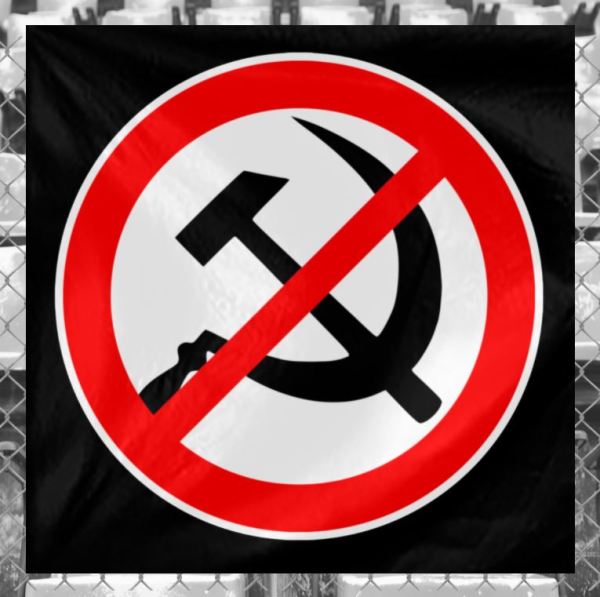 Steag Logo Anticomunist - imagine 2