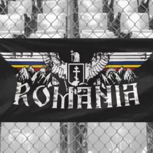 Steag ROMÂNIA
