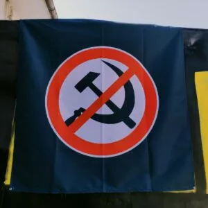 Steag Logo Anticomunist